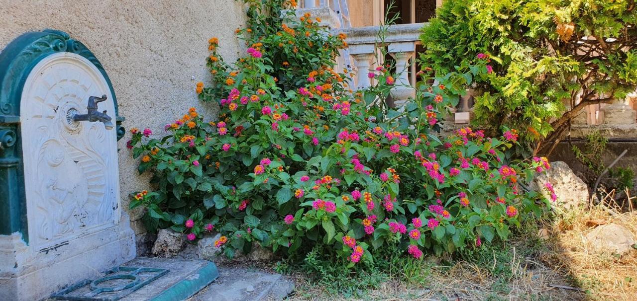 La Casa De Margarita Y Sisco, Villa Avec Piscine Carcassone Kültér fotó